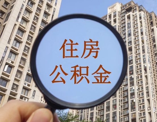 新泰辞职了公积金怎么取（辞职了之后公积金怎么取）